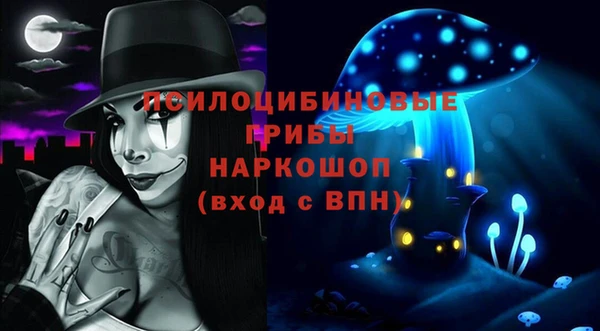 бошки Верхний Тагил