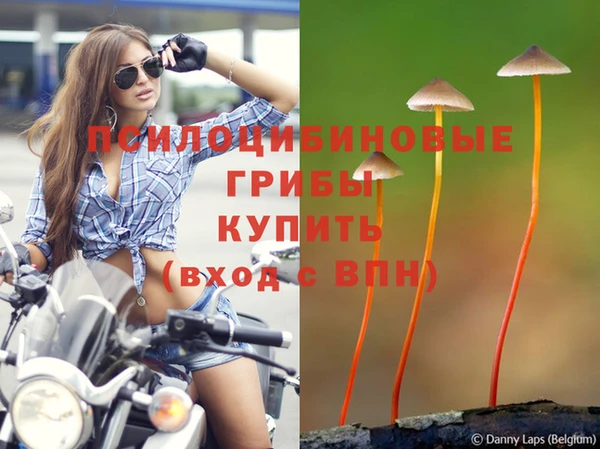 бошки Верхний Тагил