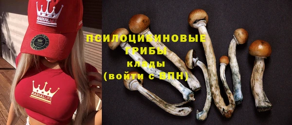 бутират Верея