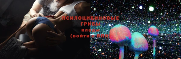 бошки Верхний Тагил