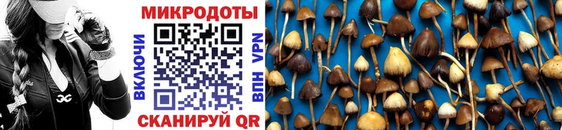 omg   Хасавюрт  Галлюциногенные грибы MAGIC MUSHROOMS 